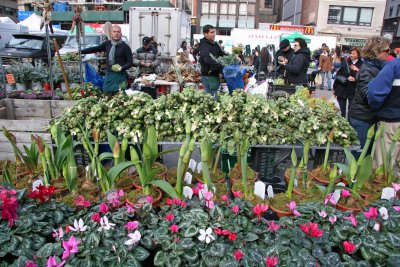 Farmers Market View