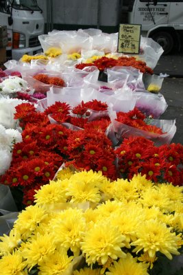 Farmer's Market - Chrysanthemums