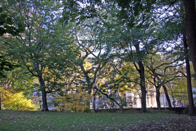 NYU Institute of Fine Arts near 78th Street