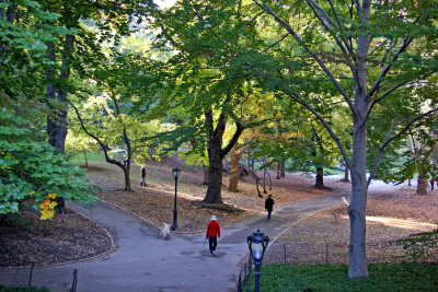 Park View near Cedar Hill