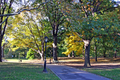 Park View near Cedar Hill
