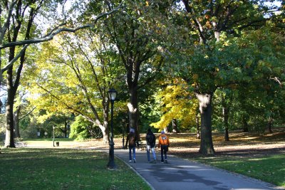 Park View near Cedar Hill