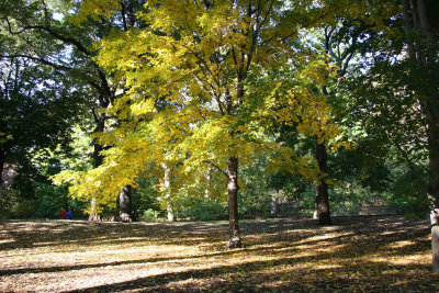 Park View near Cedar Hill