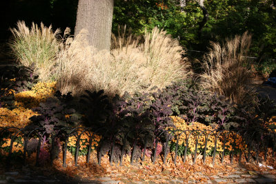 Garden Area near the Boat House Restaurant