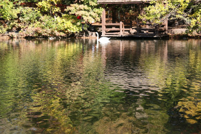 Ramble Lakeshore Bird Feeding Station