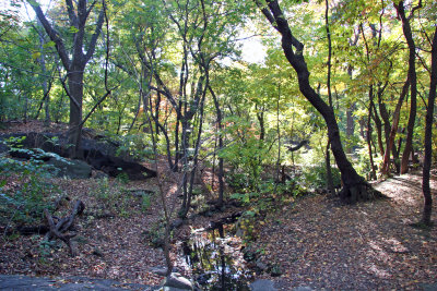 Ramble Path View