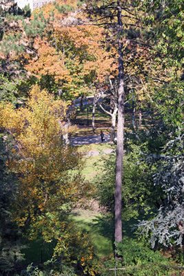 Wooded Area below Belvedere Castle