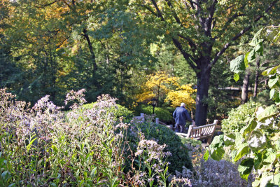 Shakespeare Garden Area