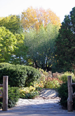 Shakespeare Garden Area