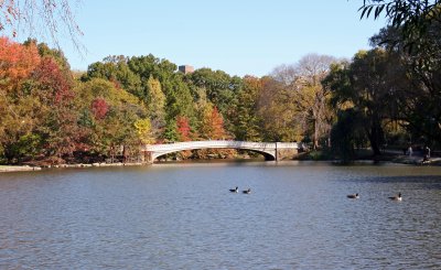 Bow Bridge from the West Shore