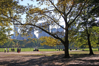 Sheep Meadow