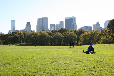 Sheep Meadow - Central Park South Skyline