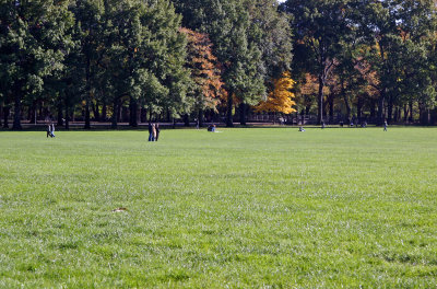 Sheep Meadow