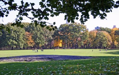 Sheep Meadow