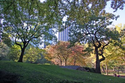 Fall Foliage - Central Park South at Cop Cot Hill