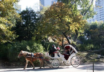 Horse Carriage Ride near Central Park South