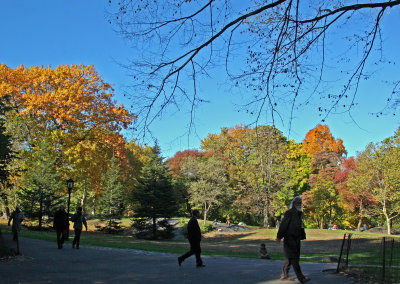 Fall Foliage - Central Park South