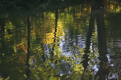 CPS Waterfall Pool Reflections