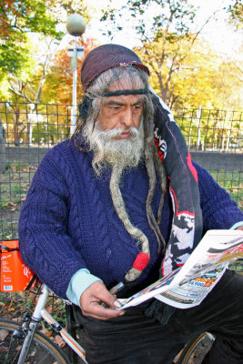 Dolphin - Park Actor