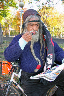 Dolphin - Park Actor