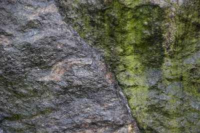 Rock Wall & Lichen