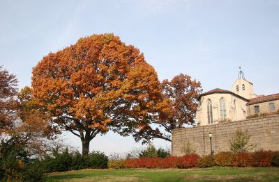 Cloister