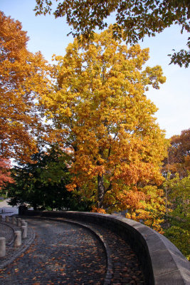 Cobblestone Road to the Cloister