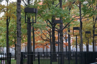 Oak Tree Stand - NYU Silver Towers Residence Garden