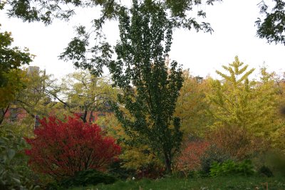 Fall - Garden View