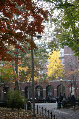Park View - NYU Law School