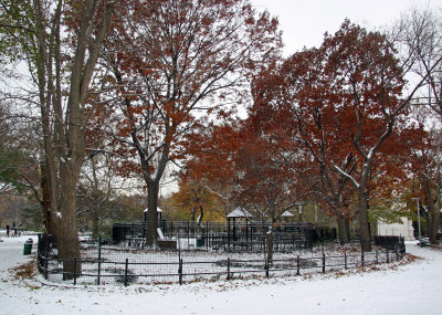Fall Foliage, Children's Playground & Snow