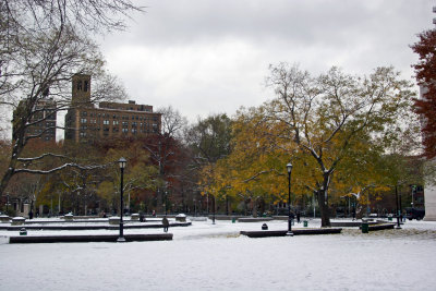 Park View - Fountain Plaza Area