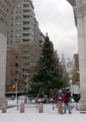 Christmas Tree at the Arch