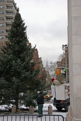 Christmas Tree at the Arch