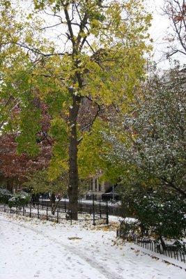 Northwest View with Fall Foliage & Snow