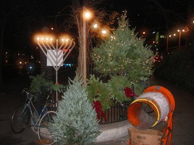 Hanukkah Candles & Christmas Trees - Petrosino Square