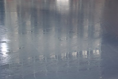 Ice Pond Reflections