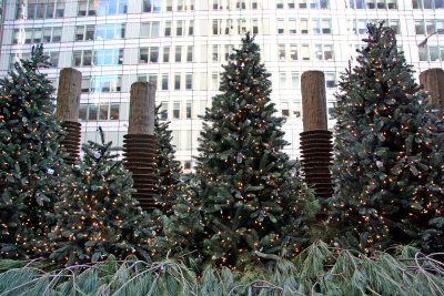 Holiday Trees at 44th Street