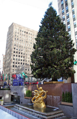 Christmas Tree & Ice Rink Sculpture