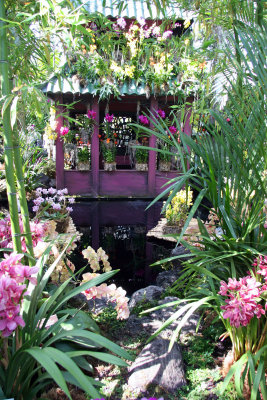 Orchid Show