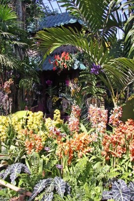Orchid Show