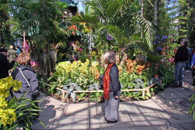 Orchid Show