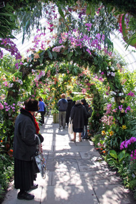 Orchid Show