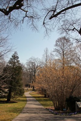 Garden View - Pine & Hazel