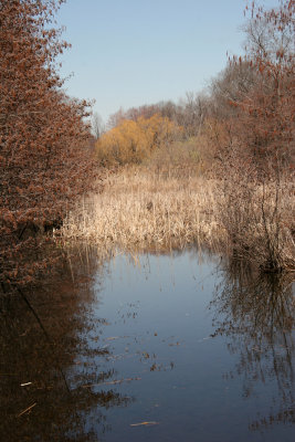 Wetlands