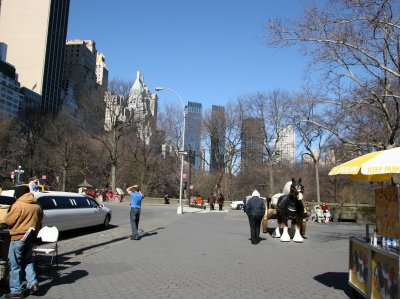 Southeast Corner at 5th Avenue with CPS & CPW Skyline Views