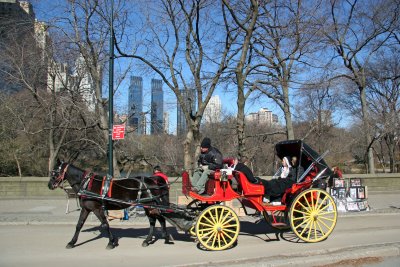 Horsedrawn Carriage near 5th Avenue with CPS & CPW Skyline Views