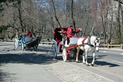 Horsedrawn Carriages near the Mall