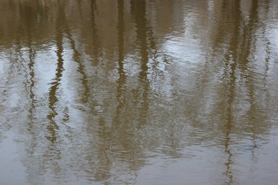 Lake Reflections