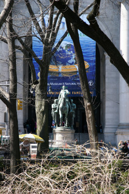 Museum of Natural History from the Park